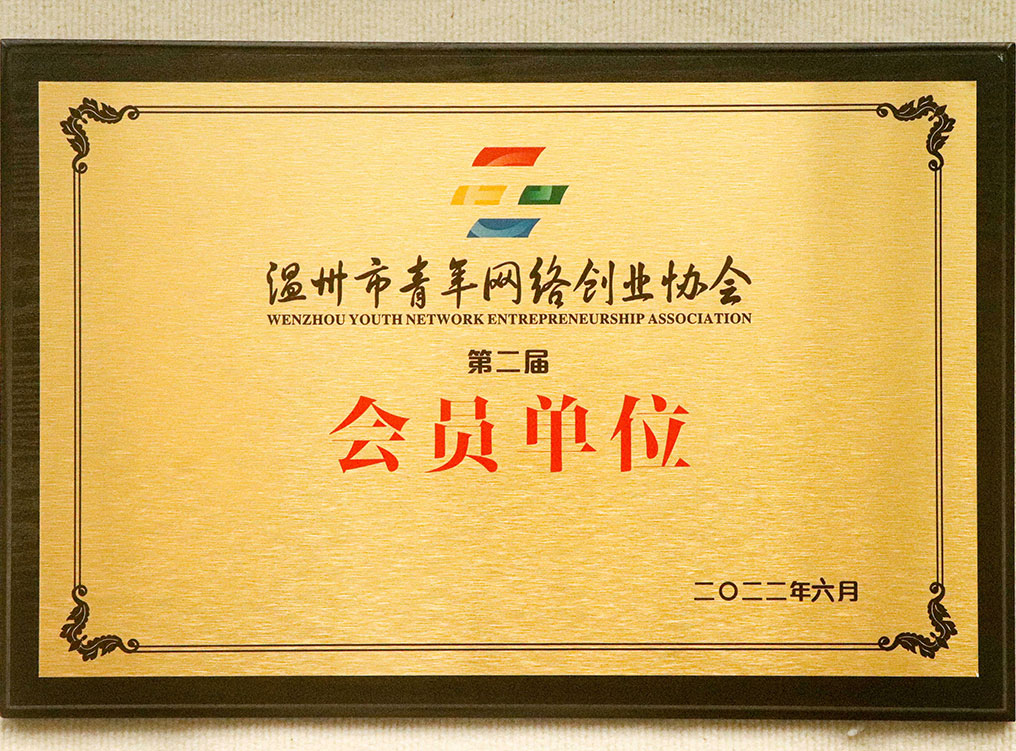 温州励臣网络科技有限公司